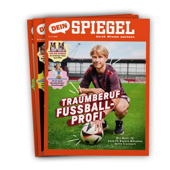 DEIN SPIEGEL Titelfächer DEIN SPIEGEL Aktuelle Ausgaben