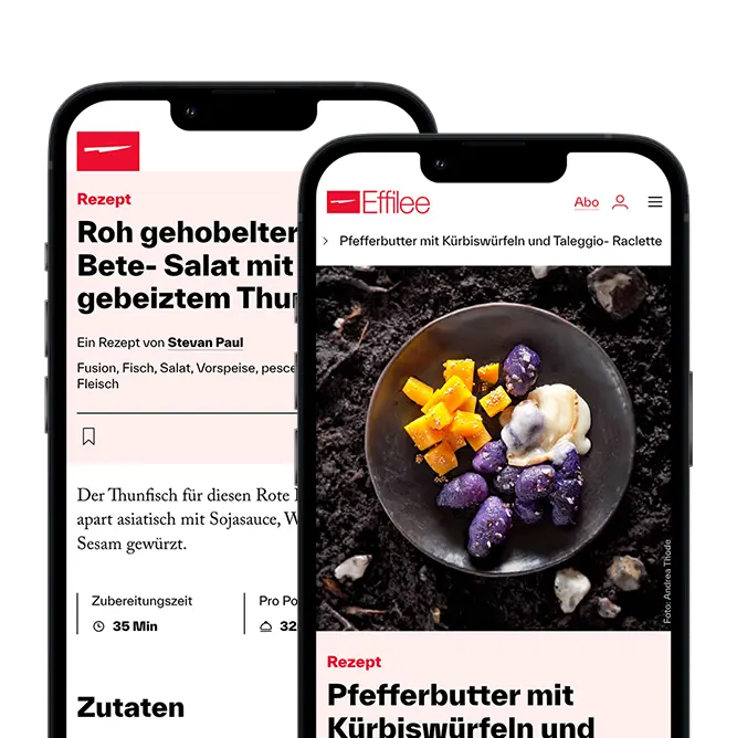 Effilee-Rezeptdatenbank Die ständig wachsende Sammlung mit bereits über 1.500 Rezepten